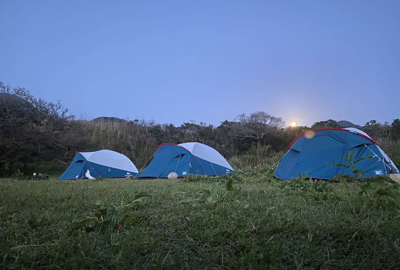 屋久島海と森のフリーキャンプ コロナ拡大により中止 サマーキャンプや自然体験プログラム Nots福岡校