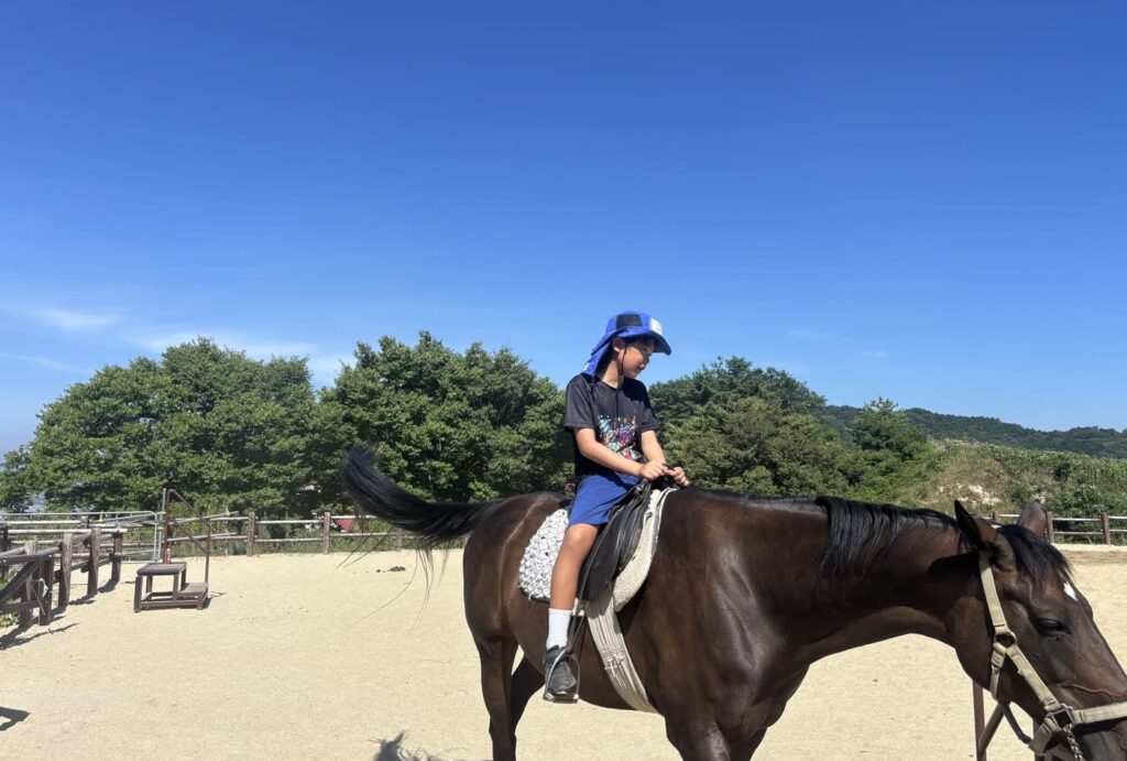 乗馬＆ひつじのお世話キャンプ｜馬に乗る